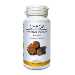 CHAGA INONOTUS OBLIQUUS 60 capsule da 618 mg