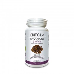 GRIFOLA FRONDOSA 60 capsule da 718 mg