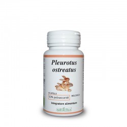 Pleuretus ostreatus 60 capsule da 718 mg